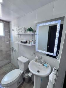 a bathroom with a toilet and a sink and a mirror at Apartamento Santo Domingo Este in Mendoza
