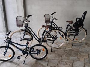 Un par de bicicletas estacionadas una al lado de la otra. en Joana & Marco - Guest House - 4 Caminhos, en Peso da Régua