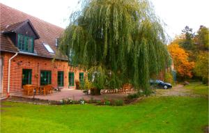 a large weeping willow tree in front of a house at Lovely Apartment In Thulendorf-sagerheide With Kitchenette in Thulendorf
