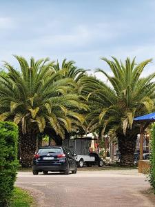 a car parked in a parking lot with palm trees at Mer et soleil in Les Sables Vignier