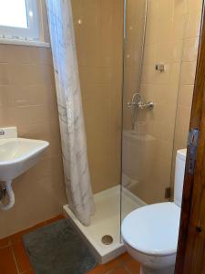 a bathroom with a shower and a toilet and a sink at Casinhas Alegria in São Marcos do Campo +14 photos