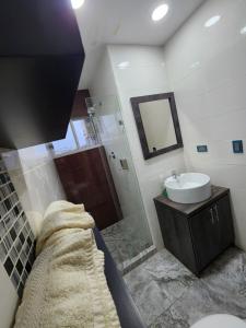 La grande salle de bains est pourvue d'un lavabo et d'une douche. dans l'établissement Departamento amplio 2 dormitorios, à Cuenca