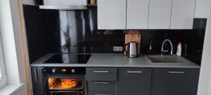a kitchen with an oven with food in it at Cosy Apartment in City Center in Liepāja