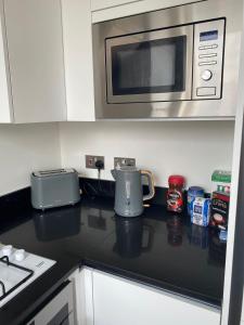 a kitchen with a counter top with a microwave at Luxury Flat Near Greenwich Park in London