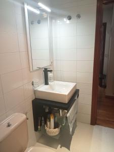 La salle de bains est pourvue d'un lavabo, de toilettes et d'un miroir. dans l'établissement Confortable y luminoso apartamento, à Valladolid