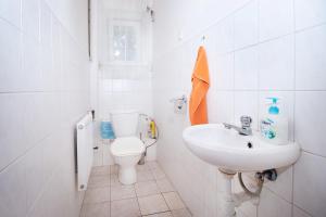 a white bathroom with a toilet and a sink at Ubytování u Nováků in Malá Morávka