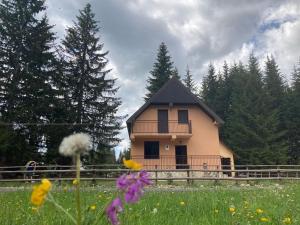 una casa con un balcone in un campo di fiori di Stojovic house a Žabljak