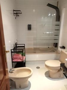 y baño con ducha, aseo y lavamanos. en Confortable y luminoso apartamento, en Valladolid