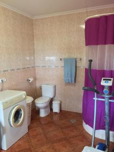 a bathroom with a washing machine and a toilet at Casa Rural Antikaria in Antequera