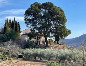 Príroda v okolí of the bed and breakfast