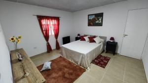 ein Schlafzimmer mit einem weißen Bett und einem Fenster in der Unterkunft Descubre & Descansa in Tupungato