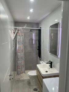 a bathroom with a shower and a toilet and a sink at CASA PARAISO 3 in Corralejo