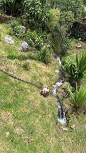 MALOKAS AGUA VIDA & NATURALEZA外面的花园