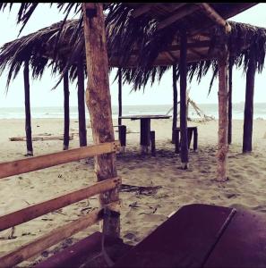 uma mesa de piquenique na praia junto ao oceano em Suites Playas em Data de Villamil