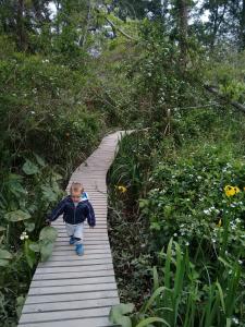 un niño pequeño caminando por un camino de madera en Domo de la Selva Tigre en Dique Luján