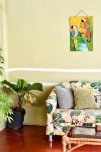 a living room with a couch and a plant at Pousada Nossa Senhora da Guia in Nobres