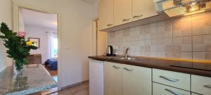 a kitchen with a sink and a counter top at Apartments Ana i Ante Punta in Milna