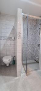 a bathroom with a toilet and a glass shower at Apartments Ana i Ante Punta in Milna