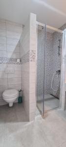 a bathroom with a shower and a toilet in a room at Apartments Ana i Ante Punta in Milna