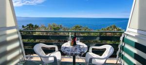 a table and chairs on a balcony with the ocean at Apartments Ana i Ante Punta in Milna
