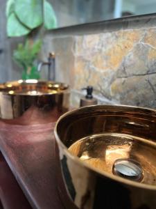 un primer plano de dos lavabos de cobre en un baño en VT cottage, en Rivière-Pilote