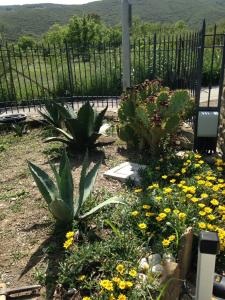 Jardín al aire libre en Villa Antonia Castellabate