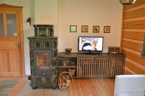 a living room with a fireplace and a television at Holiday home in Jilove u Drzkova 1767 in Jílové u Držkova