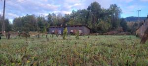a house in the middle of a field at Cabañas Troncos de Relin in Panguipulli