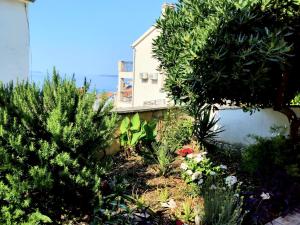 Ein Garten an der Unterkunft Villa Grande Vista - Lovely Apartment with Private spacious lush mediterranean patio and Sea view