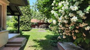 ogród z drzewem z białymi kwiatami w obiekcie Biker Holiday Home w mieście Balatonakarattya
