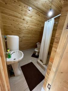 W łazience znajduje się toaleta, umywalka i prysznic. w obiekcie Super View-2 Bedroom Chalet Karakol w mieście Karakoł