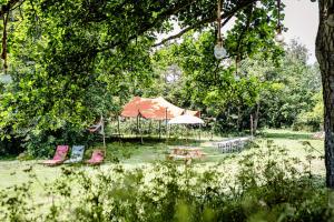 Κήπος έξω από το TinyParks Eiland Tiengemeten
