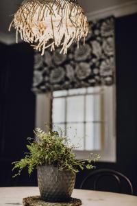 Φωτογραφία από το άλμπουμ του Belle Cottage on March - Central High-End Heritage σε Orange