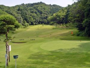 Attività di golf presso l'hotel o nelle vicinanze