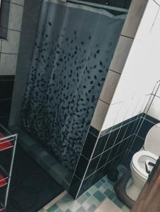 eine Dusche im Bad mit WC in der Unterkunft Laukupės sodyba in Rokiškis
