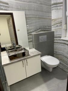 Koupelna v ubytování Beregi Apartman