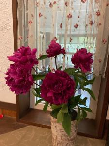 un jarrón lleno de flores púrpuras en una ventana en Morinouta, en Nikko