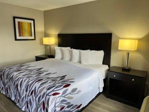 Habitación de hotel con 1 cama grande y 2 lámparas en Red Roof Inn Kimball, TN I-24 en Kimball