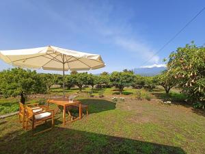 une table et des chaises avec un parasol sur l'herbe dans l'établissement Giardino Arancio - casa vacanze, à Giarre