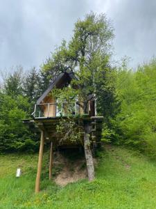Aed väljaspool majutusasutust Tree house - Tara Place