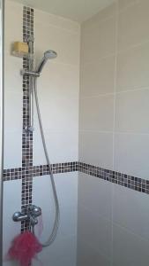 La salle de bains est pourvue d'une douche avec un pommeau de douche. dans l'établissement Proche avignon, pont du gard,nuitee possible, à Rochefort-du-Gard