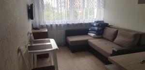 - un salon avec un canapé et une fenêtre dans l'établissement Apart Sauliaus, à Klaipėda