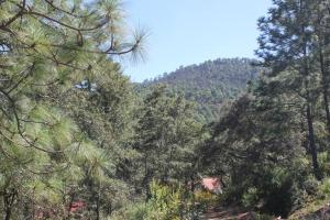 Paesaggio naturale nelle vicinanze dello chalet
