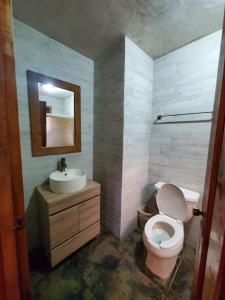 La salle de bains est pourvue de toilettes, d'un lavabo et d'un miroir. dans l'établissement Cabaña rustica a 1km de cascada, à Mazamitla