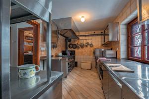 a large kitchen with stainless steel appliances and a counter at Tonkina koča in Kranjska Gora