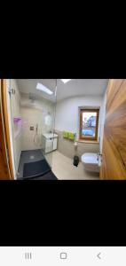 a bathroom with a sink and a toilet in a room at Relax.Land 2 Apartments (13 persons) Grinzens in Grinzens