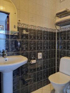 Vannituba majutusasutuses Hotell De Tolly