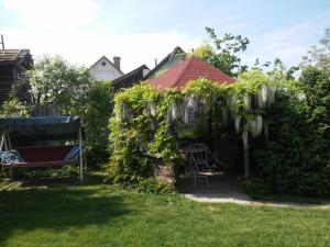 a garden with a pergola and a chair in a yard at Dózsa apartman in Hajdúszoboszló