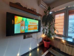 a flat screen tv hanging on a wall with a plant at Sofia Palms: Modern apartment with a large terrace in Sofia