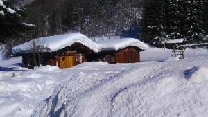 Alpenherz Apartments v zime